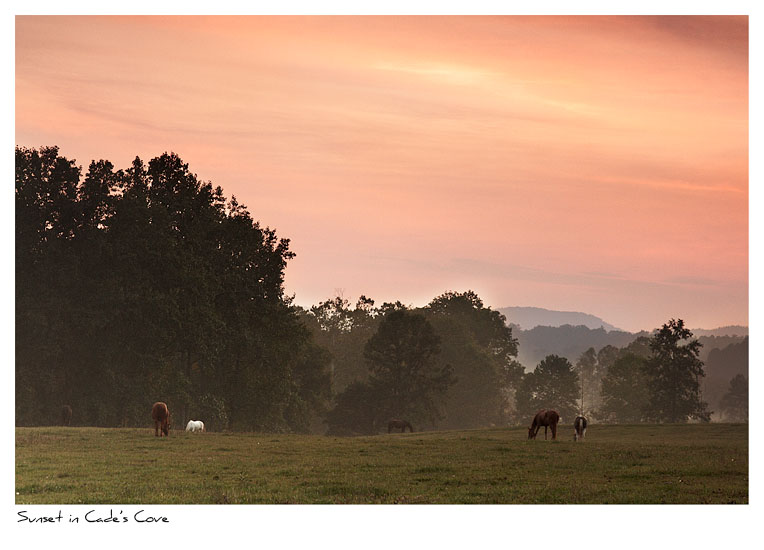 Click to purchase: Sunset in Cade's Cove