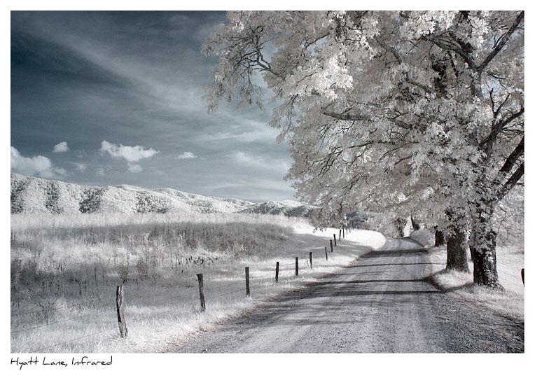 Click to purchase: Hyatt Lane, Cades Cove, Infrared