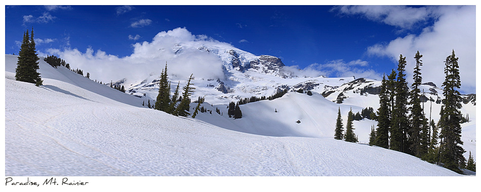Click to purchase: Paradise, Mount Rainier