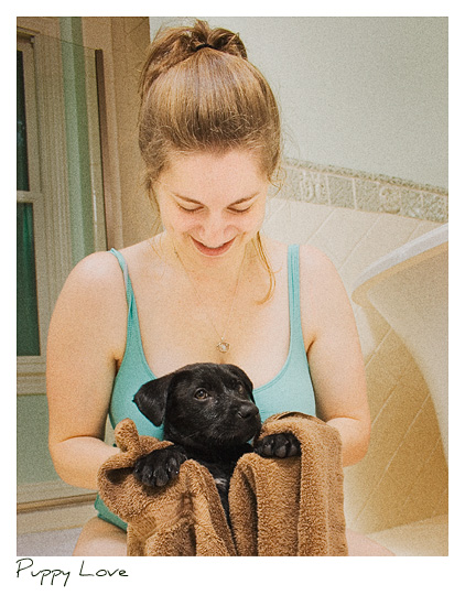 Click to purchase: Puppy Love